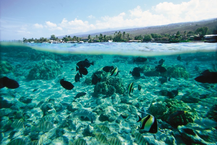 hawaii big island.jpg